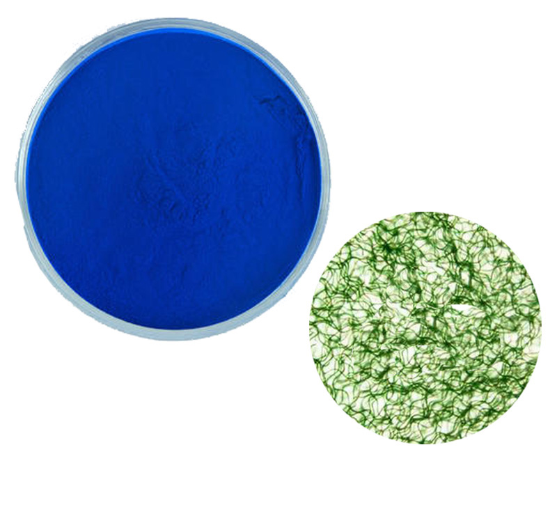 Phycocyanin