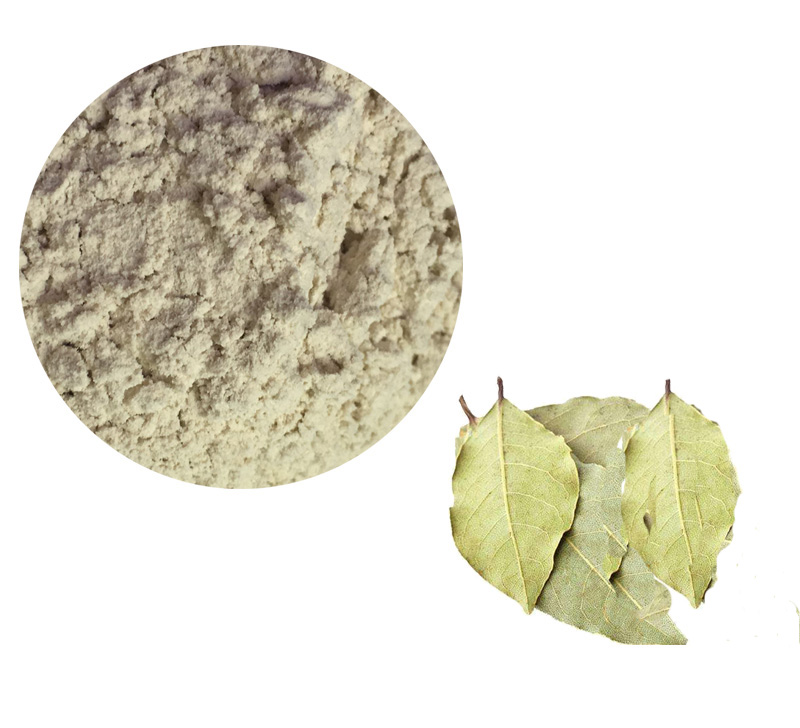 Bay Leaf Extract