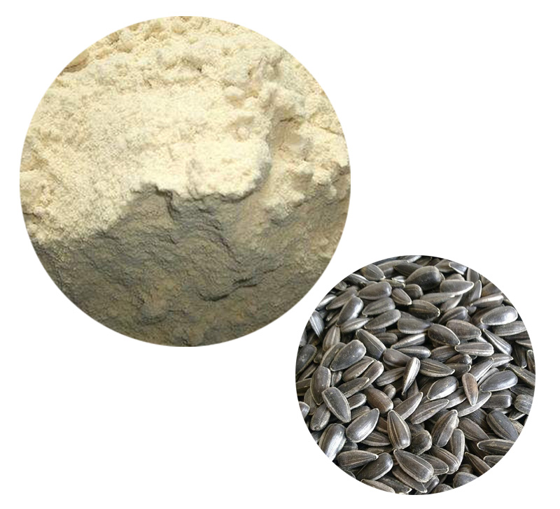 Sunflower Seeds Protein