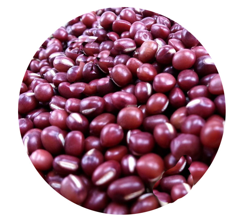 Red Bean Protein