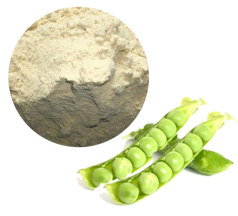 Pea Protein