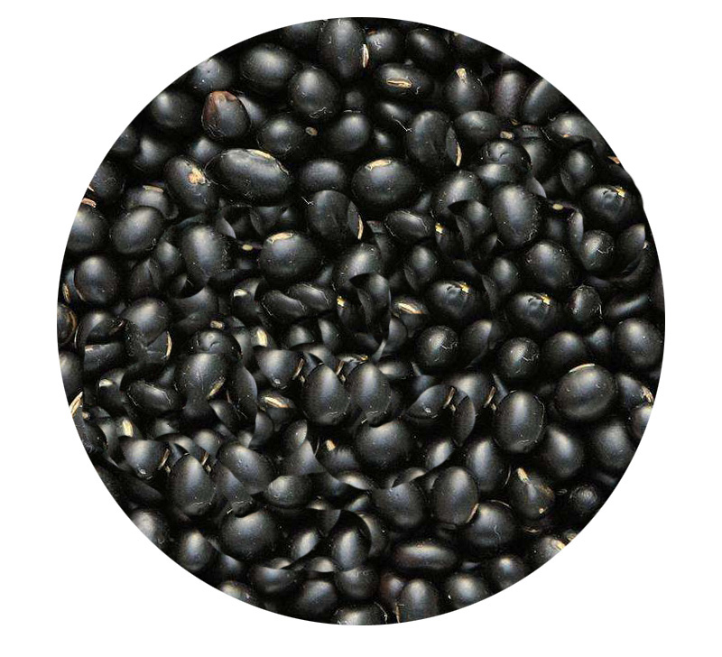 Black Bean Protein