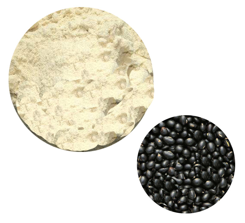 Black Bean Protein