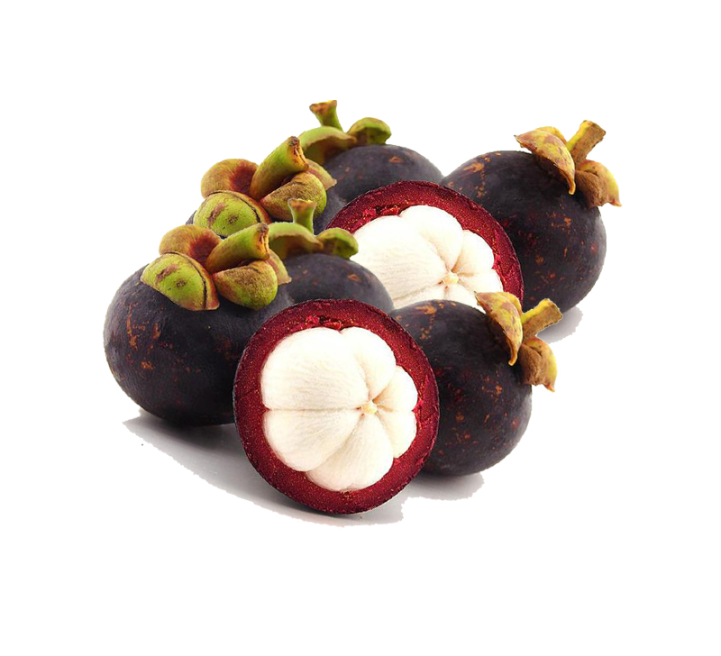 Mangosteen Extract