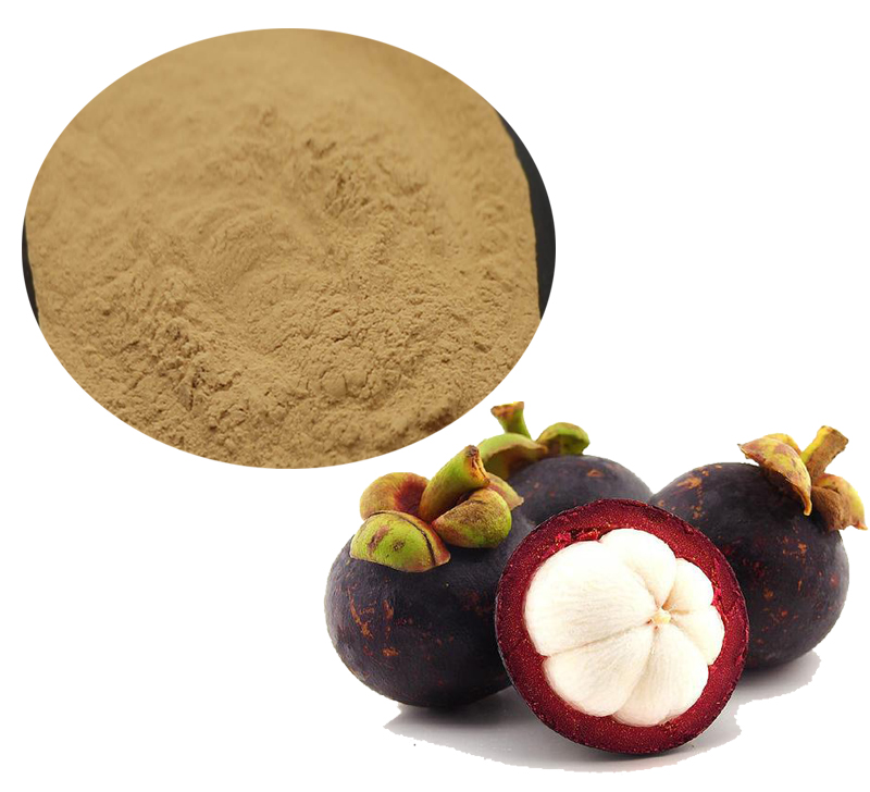 Mangosteen Extract