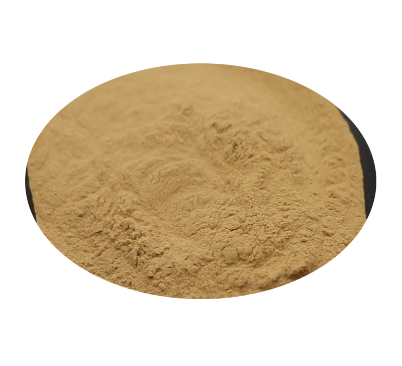 Huperzina Serrata extract